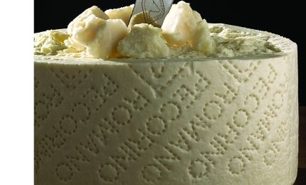 Siglato l'accordo sul latte di pecora: perch&eacute; i pastori sardi stanno sbagliando/ MATTINALE 304