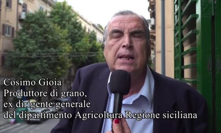 Cosimo Gioia: "Alle elezioni europee voterò Ignazio Corrao"