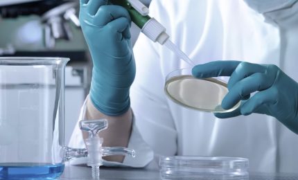 La globalizzazione e i prodotti agricoli 'avvelenati' sostengono l'industria farmaceutica/ MATTINALE 244