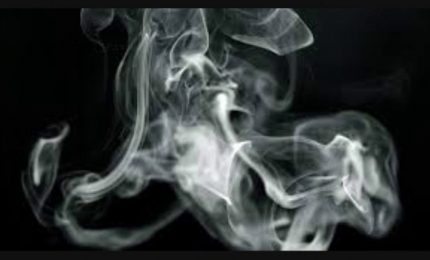 I grillini romani come Musumeci: sull'agricoltura siciliana vendono solo fumo!