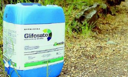 L'Istituto Ramazzini sul glifosato: la verità tra cinque anni. E intanto che facciamo?