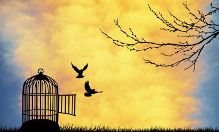 La Resistenza a modo nostro. Gli Ex Sportellisti Liberi celebrano la loro resistenza