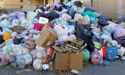 Palermo e Roma a confronto sull'immondizia tra informazione e disinformazione/ MATTINALE 246