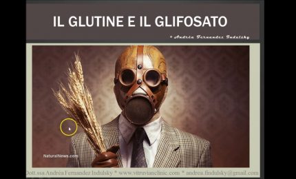 Celiachia e intolleranza al glutine: è intolleranza al glutine o al glifosato?
