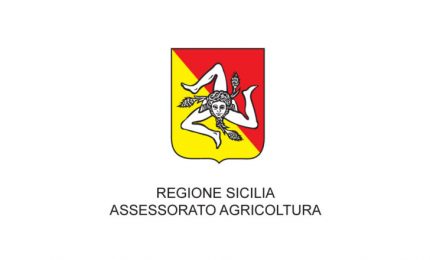 In arrivo nuovo 'bollino': il Distretto unico del cibo siciliano. Possiamo essere molto perplessi?