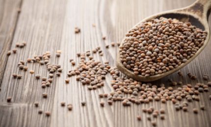 Le lenticchie nei Centri commerciali di Palermo? Quasi tutte canadesi!