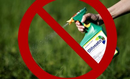 Il glifosato e le micotossine DON presenti nel grano saranno il banco di prova dei Verdi europei