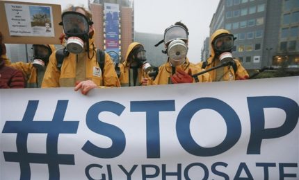 Glifosato, terza condanna per Bayer-Monsanto: dovrà risarcire 2 miliardi di dollari!/ MATTINALE 280