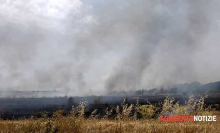 A fuoco i grani antichi della Valle dei Templi di Agrigento. Perché gli incendi nei campi di grano?