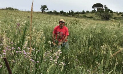 L'eredit&agrave; di Antonio Canepa e l'Indipendentismo siciliano: parla Paolo valentini
