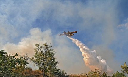 Fuoco sopra Mondello, le fiamme bruciano la Riserva naturale di Capo Gallo