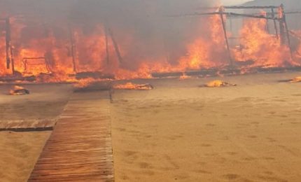 Quanti animali sono morti nell'incendio della Plaia? E, in particolare, quanti cavalli?