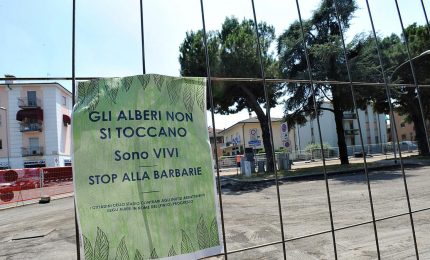 In tutta l'Italia si tagliano alberi per fare posto alle antenne della tecnologia 5G? (VIDEO)