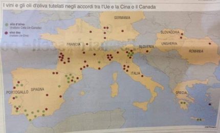 Incredibile: la UE ha escluso l'olio d'oliva e i vini del Sud Italia dal commercio con Canada e Cina!