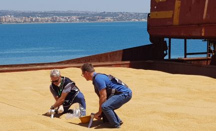 Il grano canadese di Pozzallo finirà nelle pance dei siciliani? Le premesse ci sono tutte...