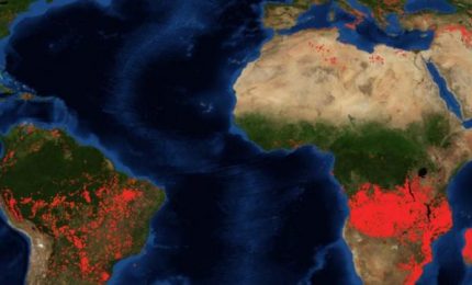 Incendi non solo in Amazzonia: in fiamme anche vaste aree dell'Africa