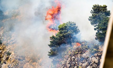 Che cosa c'è dietro gli incendi dei boschi della Sicilia?/ MATTINALE 365