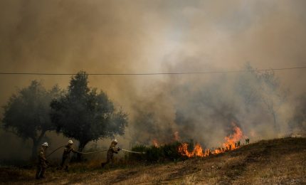 I forestali 'piromani': o a casa senza lavoro, o tra le fiamme a spegnere gli incendi con il caldo infernale