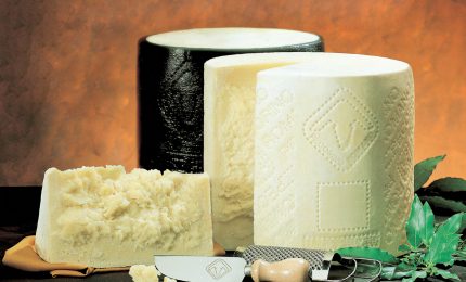 Vola negli USA l'export di Pecorino romano. Bene anche il Ragusano