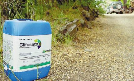 Oltre il 97% dei prodotti alimentari commercializzati nel nostro Continente contiene residui di glifosato/ MATTINALE 412