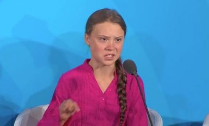 Ma la storia dell'uomo che cambia il clima e lo peggiora &egrave; vera? Molti scienziati dicono di no