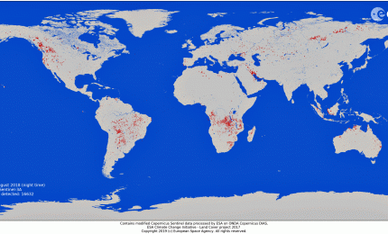 Gli incendi in Amazzonia, Siberia e Africa hanno inquinato tutto il mondo: ecco come