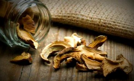 Lo sapevate che nei funghi conservati ci sono larve di insetti? Con rischi allergologici