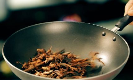 Ragù di carne? Non più: ora c'è il ragù di insetti! (gastronomicamente corretto)