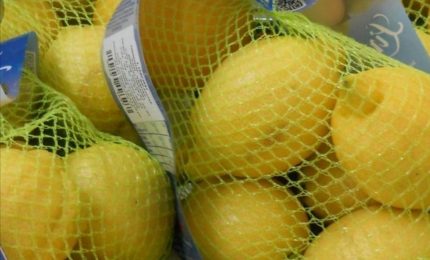 Siracusa, sequestrate 39 confezioni di limoni trattati con l' Imaxalil