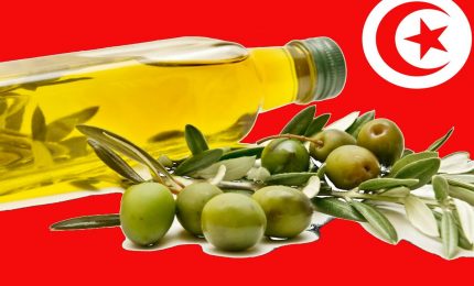 Il 2020 sarà l'anno della super-invasione dell'olio d'oliva tunisino!/ MATTINALE 414