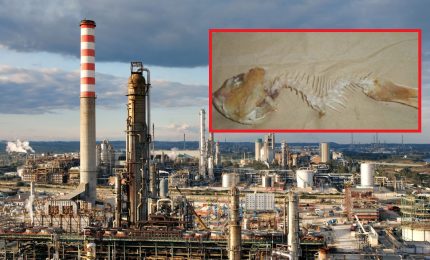 Ripuliranno il mare di Augusta dal mercurio e da altri inquinanti? Speriamo che sia vero