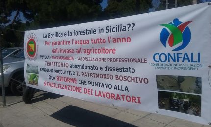 Nasce in Sicilia un nuovo sindacato per l'agricoltura e la pesca