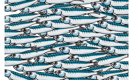 Il Movimento delle sardine: la 'Sinistra in cerca d'autore' che piace tanto ai liberisti (VIDEO di Diego Fusaro)