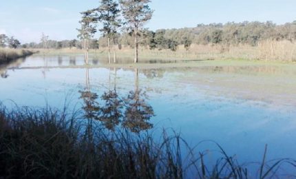 Ci volevano le tempeste di acqua per cominciare la pulizia di fiumi e corsi d'acqua della Sicilia!