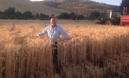Agostino Cascio: l'agricoltura siciliana è in crisi e noi non sappiamo quali tasse pagare prima! (VIDEO)