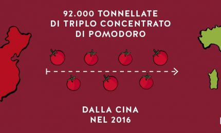 Italia leader nell'export agroalimentare? Ma che prodotti esportiamo?