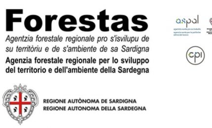 Operai della Forestale: in Sardegna tutto si muove, in Sicilia si muove solo il SIFUS