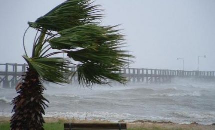 A proposito del vento di stanotte a Palermo: avvertire per tempo i cittadini no?