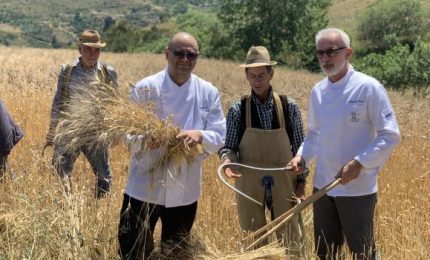 Sui Nebrodi si punta sul pane prodotto con i grani antichi siciliani