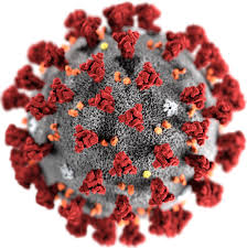 Coronavirus, primi due casi in Italia. Roberto Burioni: "Con una mortalità del 3% sarebbe una catastrofe"/ MATTINALE 520
