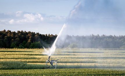 Il SIFUS chiede le assunzioni nei Consorzi di Bonifica. Chi dovrebbe pagare i nuovi assunti?