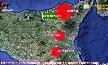 Non &egrave; la politica che sta facendo luce sulla mafia dei Nebrodi, ma la magistratura e le forze dell'ordine