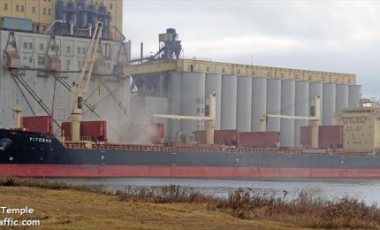 In arrivo tre navi cariche di grano estero nel porto di Bari. Chi sono gli importatori