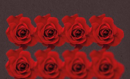 Il libro/ 'L'ultimo ricordo' di Daniela Tornatore: "Quante parole occorrono per raccontare una vita?"