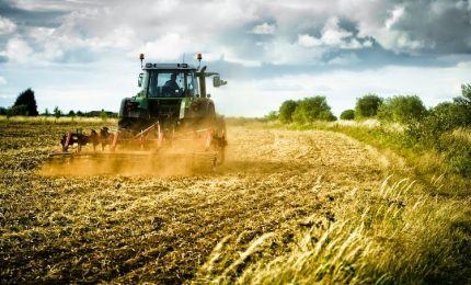 L'inchiesta sui fondi PSR: ecco dove finisce una parte importante dei fondi europei destinati all'agricoltura siciliana