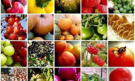 Effetti economici Coronavirus: perché per noi siciliani sarà importante acquistare prodotti siciliani/ MATTINALE 468