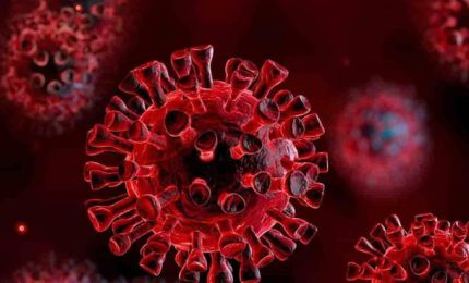 Coronavirus: attaccano Didier Raoult e Paolo Ascierto perché pensano solo ai malati?/ MATTINALE 472