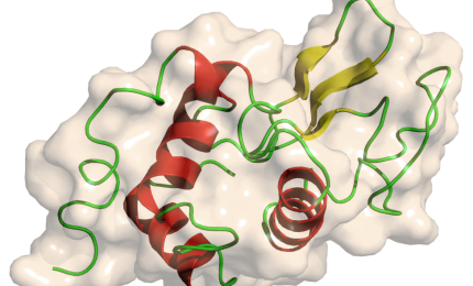 Il 'mistero' del Lisozima: utile anche nella lotta al Coronarirus? Interrogazione al Senato