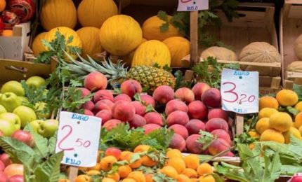 Coronavirus/ Scongiurare le speculazioni sui prezzi di frutta e ortaggi