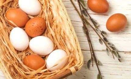 Perché le uova politically correct”" sono bianche
